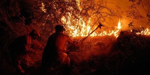 Milas'taki orman yangını kontrol altında