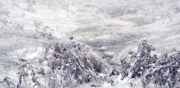 Ardahan'ın yüksek kesimlerinde kar yağışı