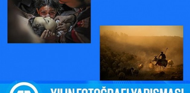 aa nin yilin fotografi oylamasi sonuclandi belge com tr yeni turkiye nin haber sitesi