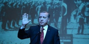 Erdoğan: 'Gençlik Gezi'de gördüğünüz vandallar değildir'
