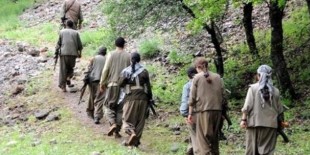 Şırnak’ta 8 PKK'lı teslim oldu