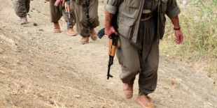 Şırnak'ta 8 PKK'lı teslim oldu!