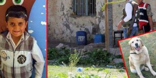 Iğdır'da öldürülen Enes'in dedesi kalp krizi geçirmiş