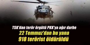 TSK'dan terör örgütü PKK'ya ağır darbe