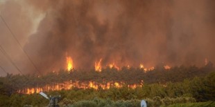 Bursa'daki orman yangınında sabotaj şüphesi