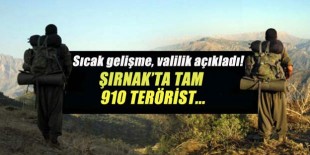 Şırnak'ta PKK'ya ağır darbe 910 terörist...