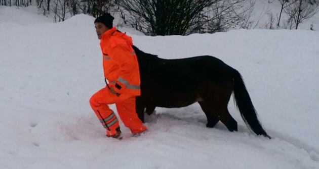 4 gün karda mahsur kalan atı iftaiye kurtardı