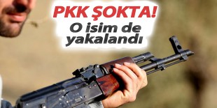Batman’da keşif yapan PKK’lı yakalandı