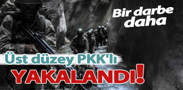PKK’ya ağır darbe: O terörist yakalandı!