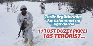 Tunceli’de terör örgütlerinin ’kış üslenmesi’ne ağır darbe