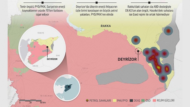 Zeytinyağının yararlı özellikleri, çeşitleri ve en iyi kaliteleri Zeytinyağının yararlı özellikleri, çeşitleri ve en iyi kaliteleri