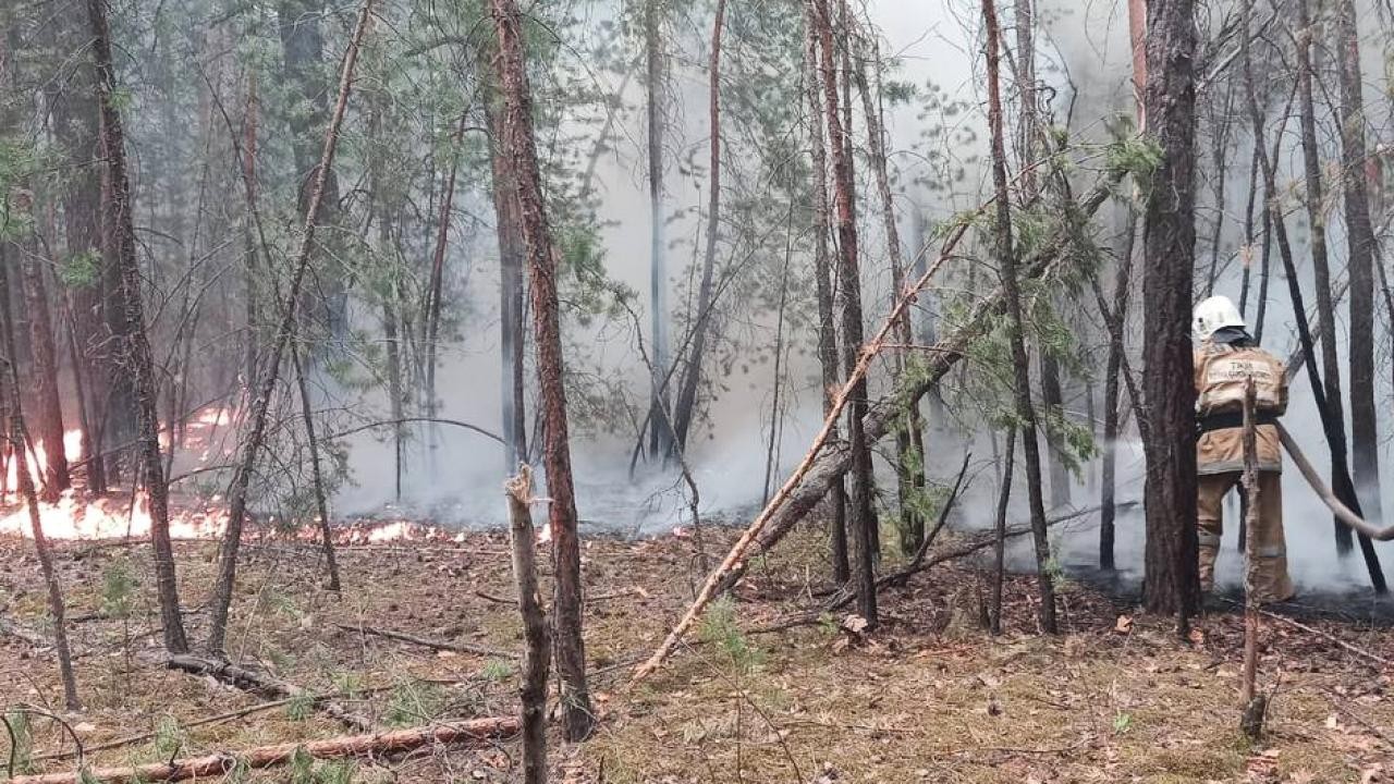 60 bin hektarlık alanı aşan orman yangınıyla mücadele ediyor
