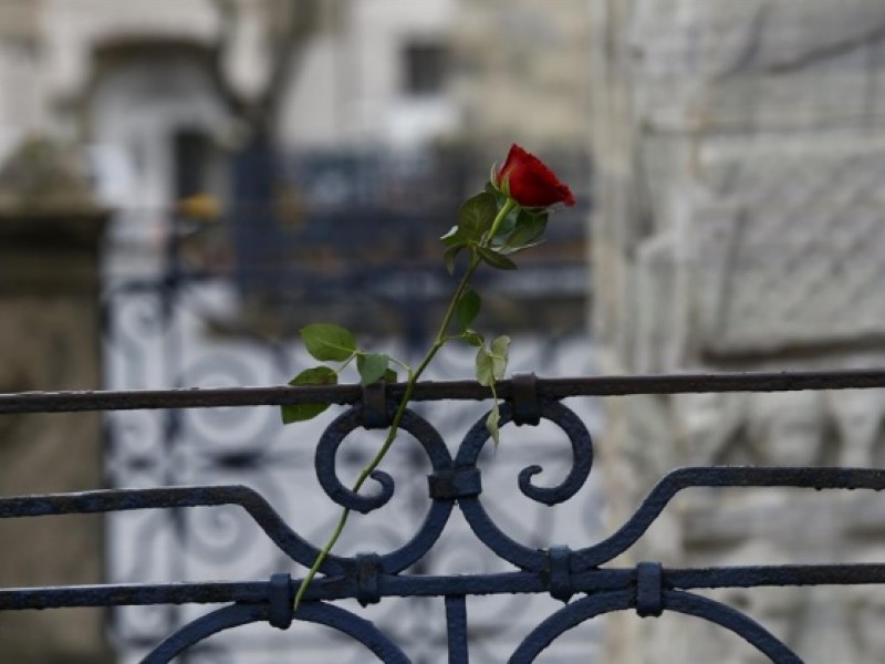 Sultanahmet meydanına turistler karanfil bıraktı