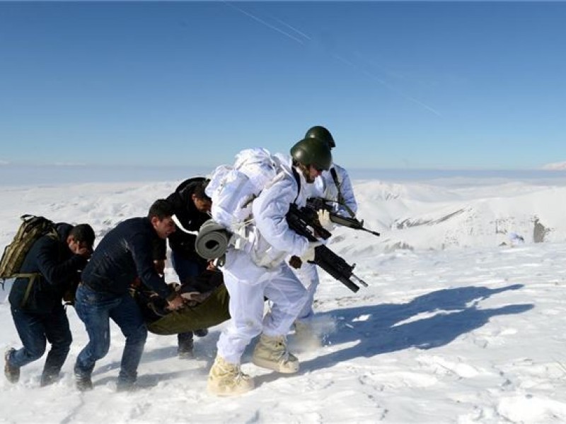 Armaları Van Gölü canavarı