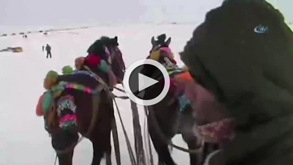 Buz tutan gölde atlı kızak keyfi