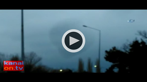 Sığırcıkların etkileyici dansı