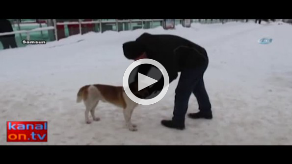 Yemeğini açlıktan bitkin düşen köpeğe verdi