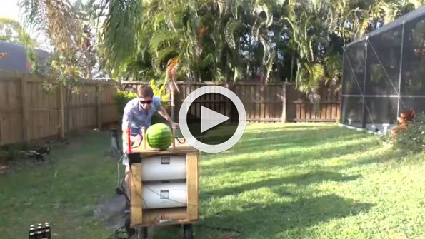 Karpuza 20 bin volt elektrik verilirse