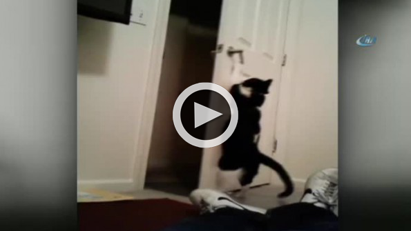 Kendi kapısını kendi açıyor