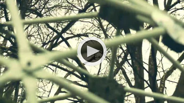 Robotik yürüyen bahçe