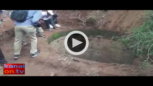 10 yaşındaki fil kuyudan böyle kurtarıldı