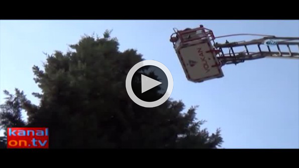 İtfaiye ile kedi arasında köşe kapmaca oyunu