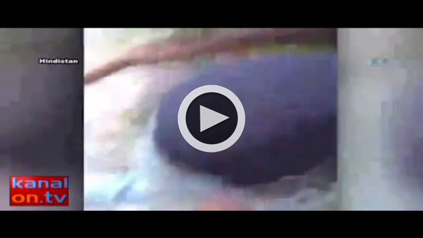 Öfkeli yılanla dans yok artık dedirtti!