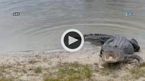 Önce kafa attı, ardından mideye attı