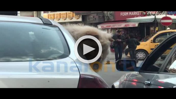 Konya trafiğinde güldüren görüntüler!