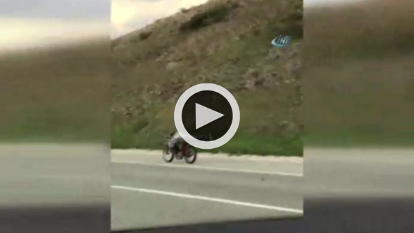 Bunun adı çılgınlık !