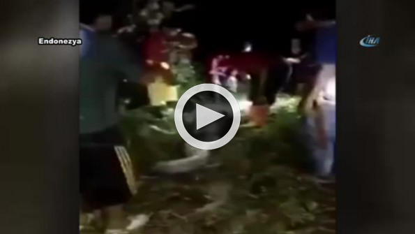 Kayıp şahıs, dev pitonun midesinden çıktı