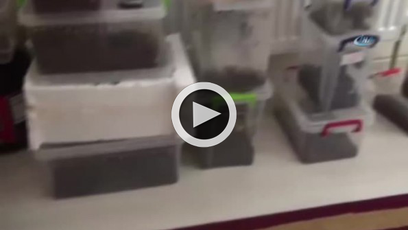 Terör şüphelisinin evinde bulundu: 30 dakikada öldürüyor