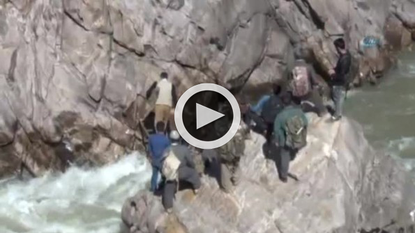 Pancar toplamak için hayatlarını riske atıyorlar