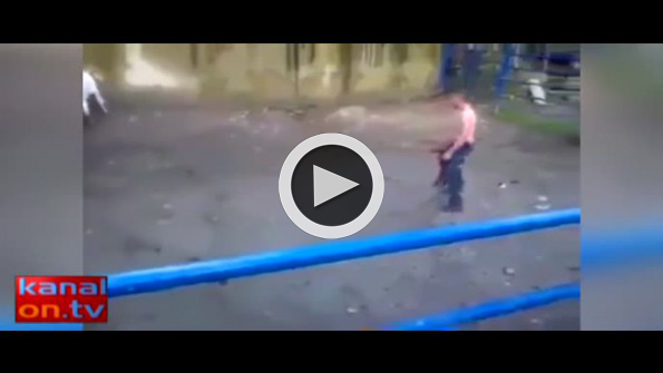 Danayla boğa güreşi yapmaya kalkınca...