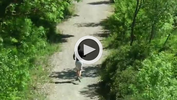 Acımasız dinozor şakası