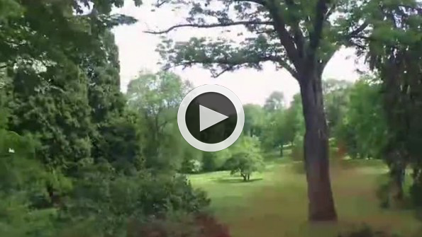 Mevsimlerdeki değişim timelapse olarak görüntülendi