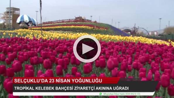 Tropikal Kelebek Bahçesi’ne ziyaretçi akını