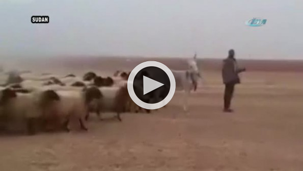 İşte dünyanın en itaatkar ordusu