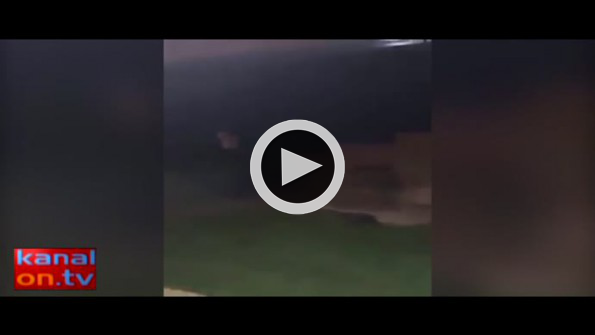 Kediye böyle tekme attı