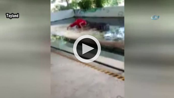 Dev timsahla gösteri canından ediyordu