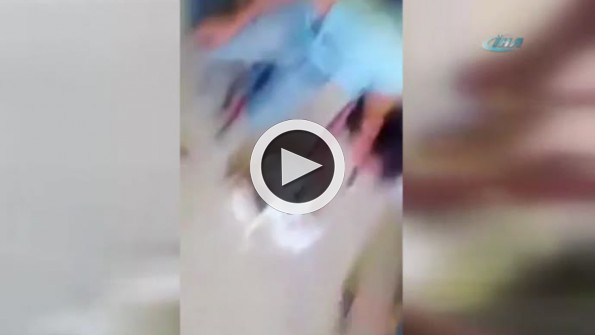 Kediyi ölümden böyle kurtardılar