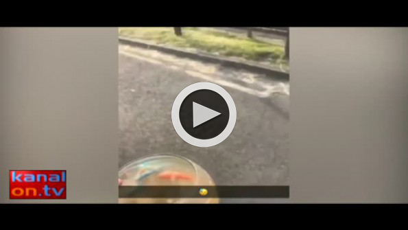 Balığı ölen gencin acısını ikiye katlayan an!