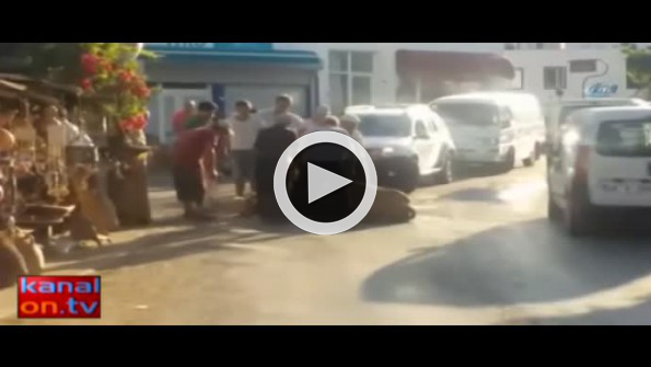 İnek sıcaktan yere yığıldı