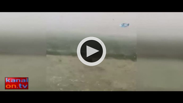 Caretta Caretta yumurta alanları koruma altında