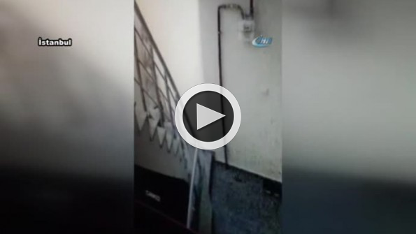 Apartmana dadanan ayakkabı hırsızı kameraya yakalandı