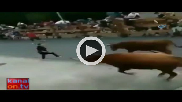 Dünyanın en şanslı insanı