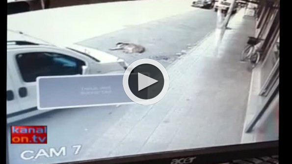 Konya’da dalgın sürücü köpeği görmedi! Aracın altından böyle kurtuldu
