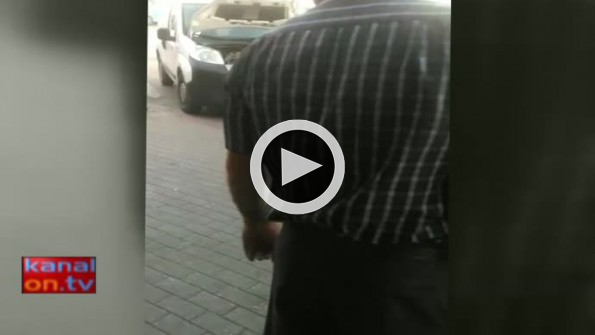 Konya’da yılan paniği!