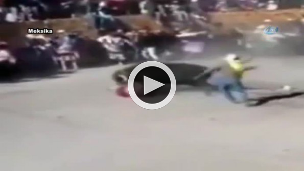Erken salınan boğa dehşet saçtı !