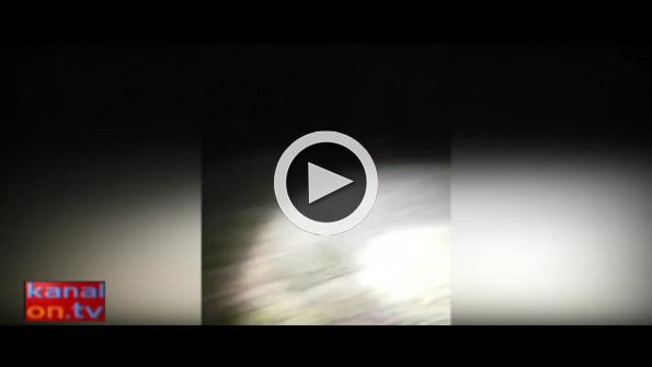 Canlı yayında dehşete düşüren yılan saldırısı